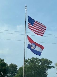 Sturgeon School Flag