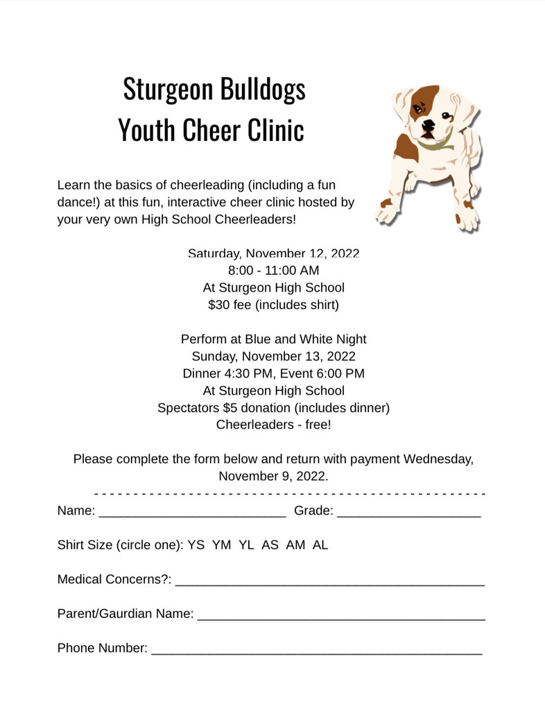 Youth Cheer Clinic